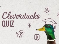 Cleverrducks quiz