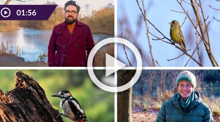 Video of Warwick staff discussing birdwatching