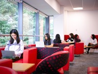 students sitting and working