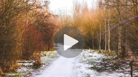 snowy pathway