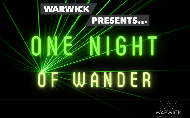 One Night of Wander Image