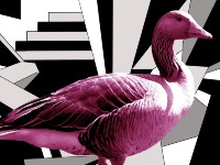 David Speed mural of a goose