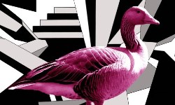 Neon goose design by David Speed