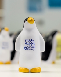 Study Happy penguin